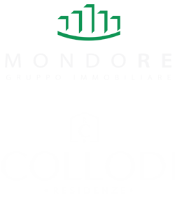 https://www.solonuovecostruzioni.it/collodi-residenze/wp-content/uploads/2023/10/logo-home-bw.png